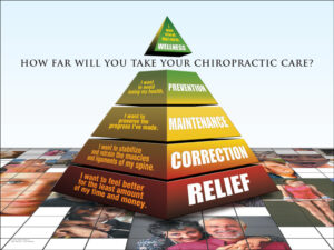 Chiropractic Care - Chiropractor
